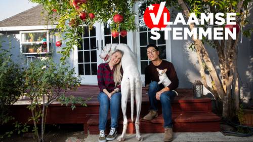 Vlaamse Stemmen in de VS. Californië, waar quasi alle sterren anti-Trump zijn: “De zachte sfeer van vroeger, die missen we wel”