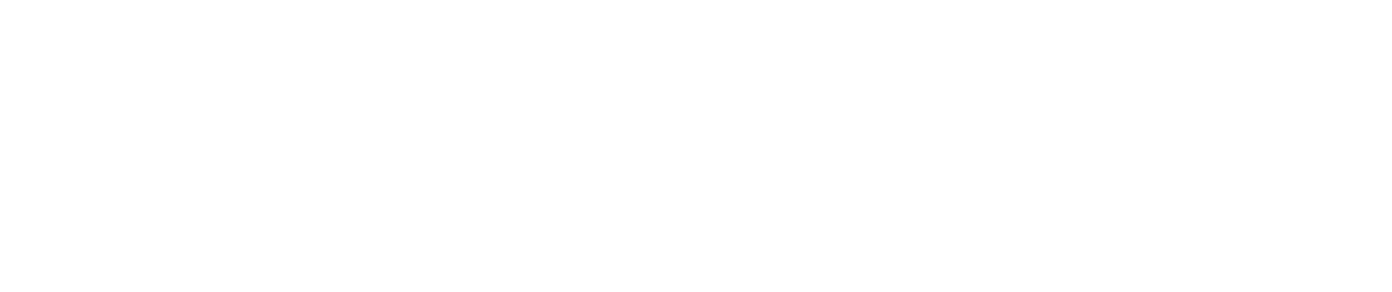 Bad Boys - flics de choc