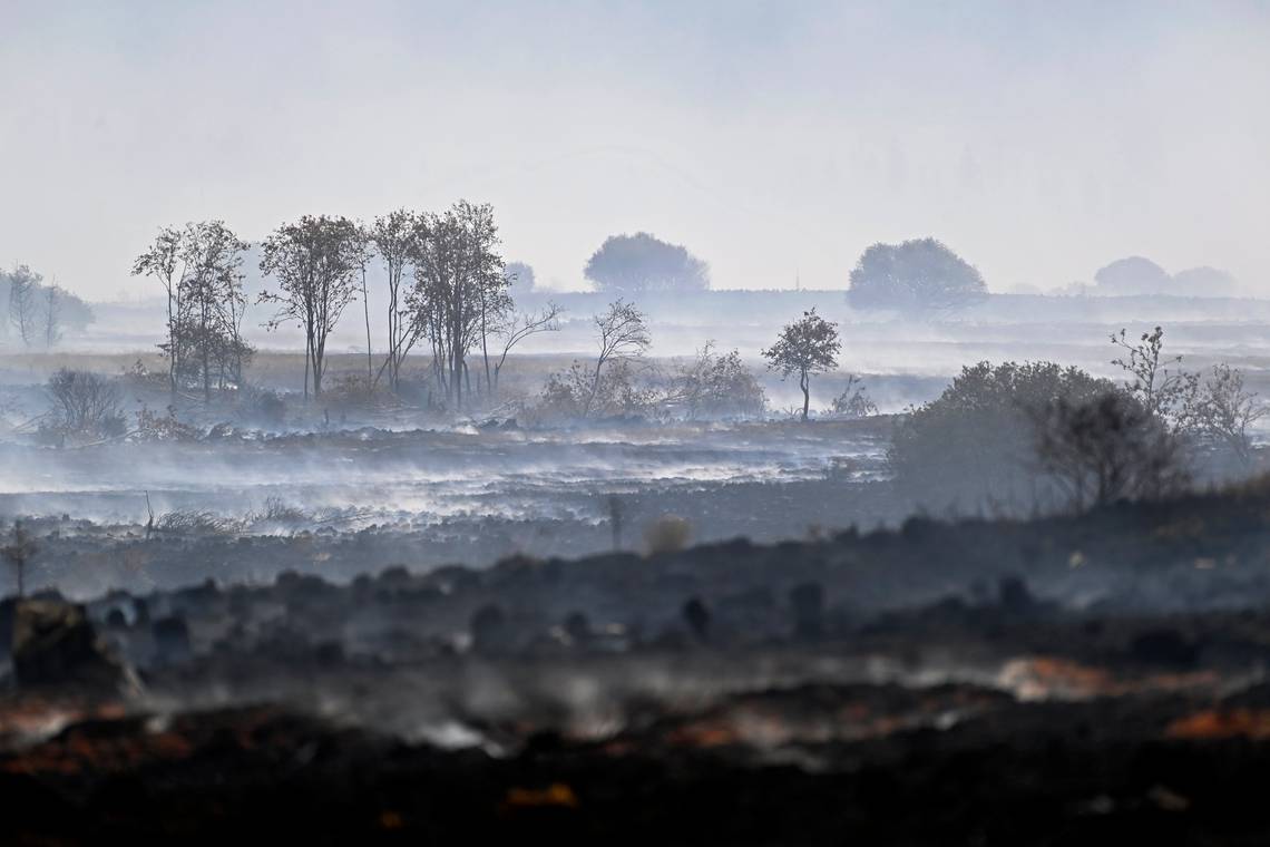‘Never waste a crisis’: minister Quintin verdedigt aanpak brand op Hoge Venen, maar voor Vooruit mag het toch een beetje meer zijn