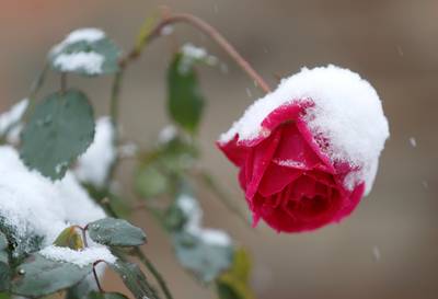 Winter even op pauze, maar eind van de week komt de kou terug