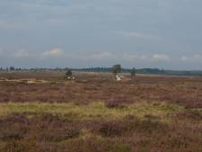 Heide bij Ede in november deels dicht vanwege strooien van schelpgruis