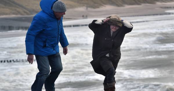 Wind door je haren: 'wat is dit geweldig!' - PZC