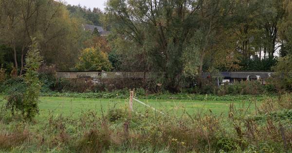 Hoveniers mogen niet afbouwen: bedrijven in Beek moeten weg