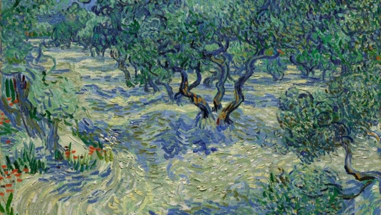 Amerikaanse curatoren ontdekken echte sprinkhaan op schilderij Vincent van  Gogh | De Volkskrant