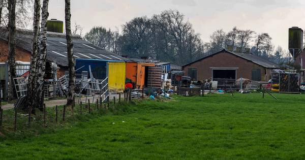 Tientallen dode dieren gevonden in loods in Leuvenheim