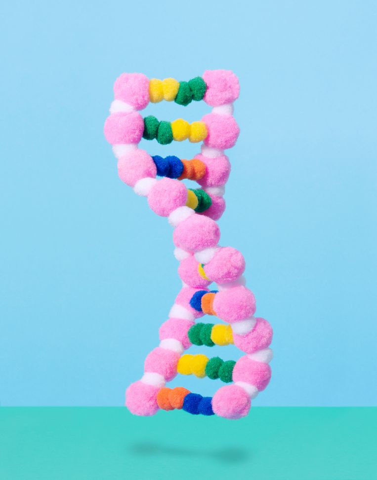 null Beeld Monique Bröring