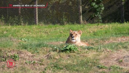 17. Pairi Daiza (14/09/24)