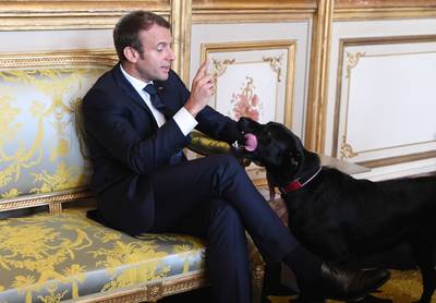 Eén jaar Macron: een asielhond, bromance met Trump en kadootjes voor de rijken