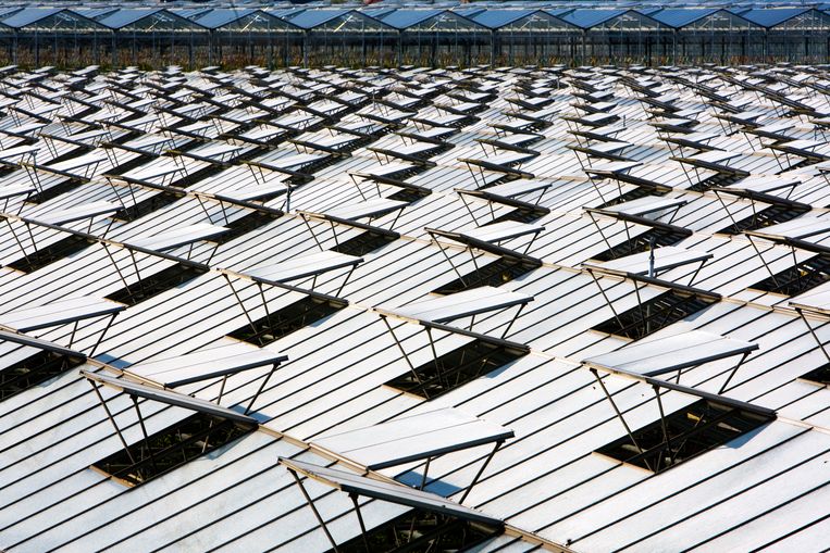 Westlandse gemeenteraad komt terug van vakantie om 'Polenhotel' te voorkomen - Trouw