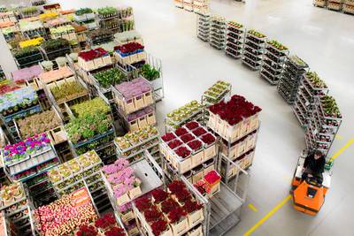 Plantion Ede maakt bescheiden winst ondanks extreem weer