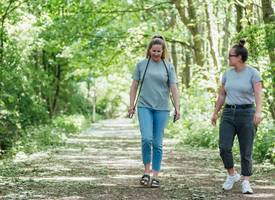 5x de mooiste bossen in Nederland om in te wandelen