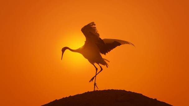 Earth: Een Onvergetelijke Dag