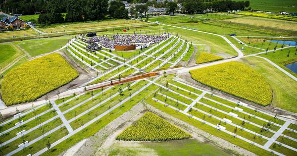 Kwart van bomen in MH17-bos is dood - BN DeStem