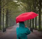 Is het gedaan met het warme weer? 