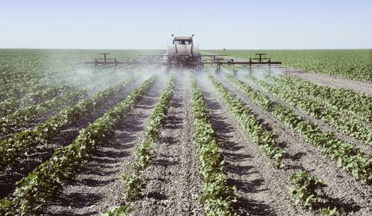 Zorgt pesticidengebruik voor meer parkinson? ‘Als er een sterk effect was geweest, hadden we dat wel gezien’