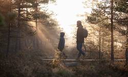 Stilte als medicijn. “Als je in de stilte belandt, ga je terug meer voelen” (+ de stilste plekken in België)