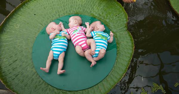 Babybeurs in Mill: ook aandacht voor kinderen in Gambia