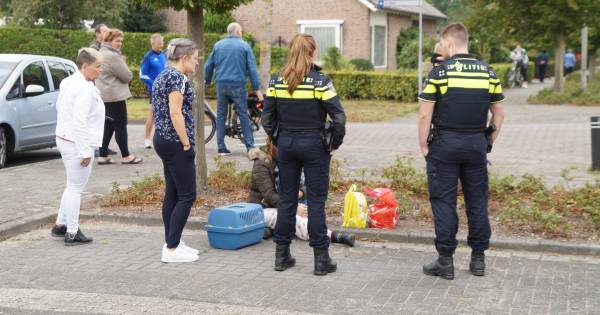 Zucht....  Moeder en kind met twee katjes op tijd weg bij keukenbrand in Vlijmen.