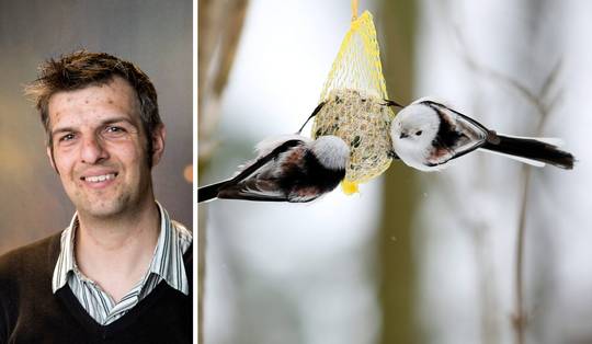 ‘De meeste vogels sterven niet meteen omdat ze een paar dagen minder voedsel vinden’