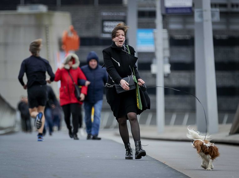 Storm Ciara zorgt in het hele land voor schade - Trouw
