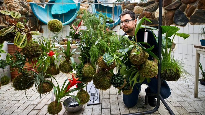 Oude Zwembad Tropicana Verandert In Groen Paradijs Rotterdam Ad Nl
