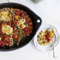 Ottolenghi-gerecht: gesmoorde halloumi met tomaatjes en bonen