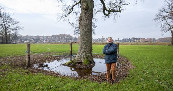 Ophogen weiland met vervuilde grond steekt Hennie uit Hertme: 'Gemeente doet niets' - Tubantia
