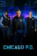 boxcover van Chicago P.D.