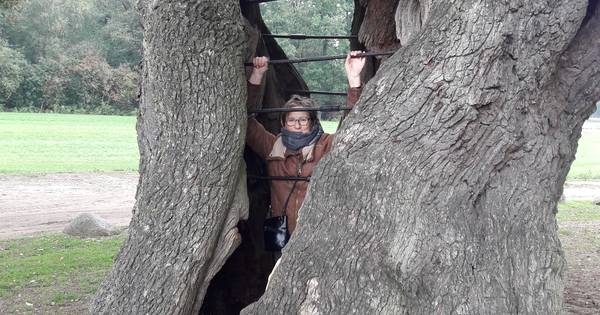 Vrouw zit 'gevangen' in een boom | Pagina twee - De Gelderlander
