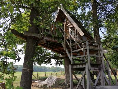 Een nachtje slapen in de boomhut van Erve Veldink in Haarlo