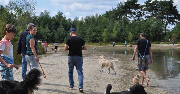 Protestwandeling rond waterplas De Hoort in Budel-Dorplein - Eindhovens Dagblad