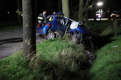 Bestuurder uit Dodewaard (27) overlijdt bij knal met auto tegen boom