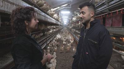 Eus bezoekt pluimveehoudster in Haarle: ‘Jullie zullen het nooit eens worden’