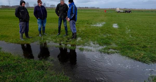 Boer zorgt voor ‘plasdras’ in Binnenveld bij Achterberg