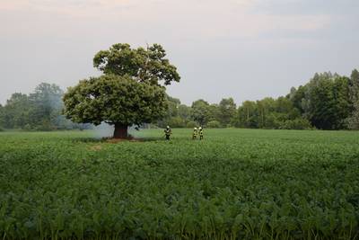 Bliksem is kort maar hevig: bomen breken, boerderij in brand én mooie beelden