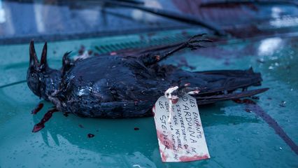 1. Comment nous vivons maintenant – 1ère partie