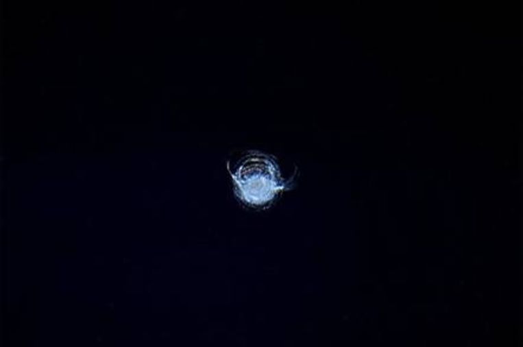 Een buts in een van de vensters van het ruimtestation ISS.