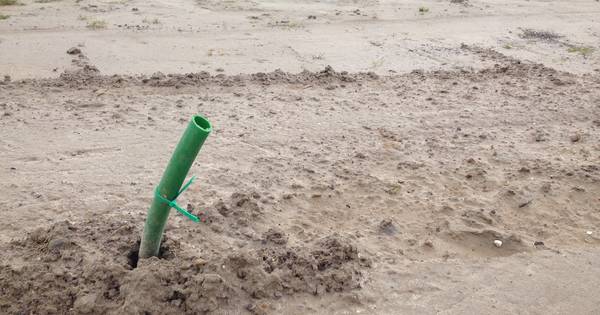 Marswetering vanaf najaar op de schop | Vechtdal - De Stentor