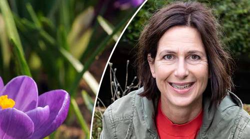 Blijf van het natte gazon: wat mag je dit weekend al doen in je tuin en waar wacht je beter mee?