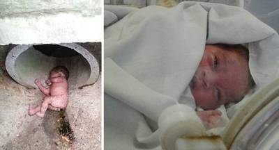 Hond redt baby die in riool vol rode mieren achtergelaten werd