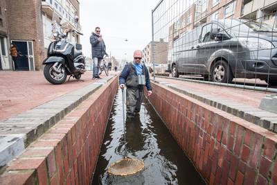 Rekening van bijna 1.000 euro na uitzetten goudvissen in Jansbeek