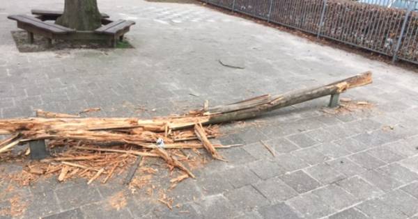 Extra controle bij school Wesepe na hakenkruizen en gesloopt speeltoestel - De Stentor