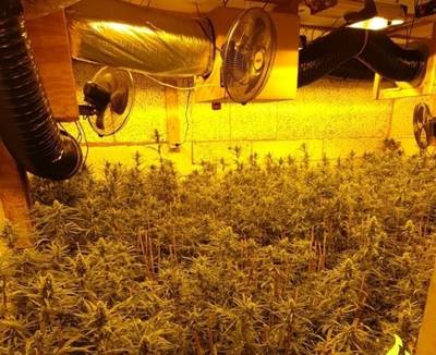 Hennepkwekerij en vuurwapen aangetroffen in woning in Lobith