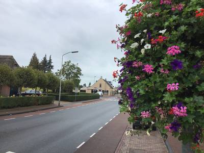 Waar zijn Drimmelenaren trots op in hun buurt en wat kan er beter?
