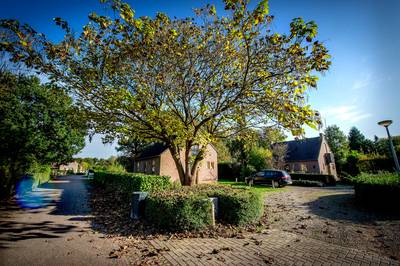 Gemeente geeft bewoners Groene Heuvels niet meer tijd