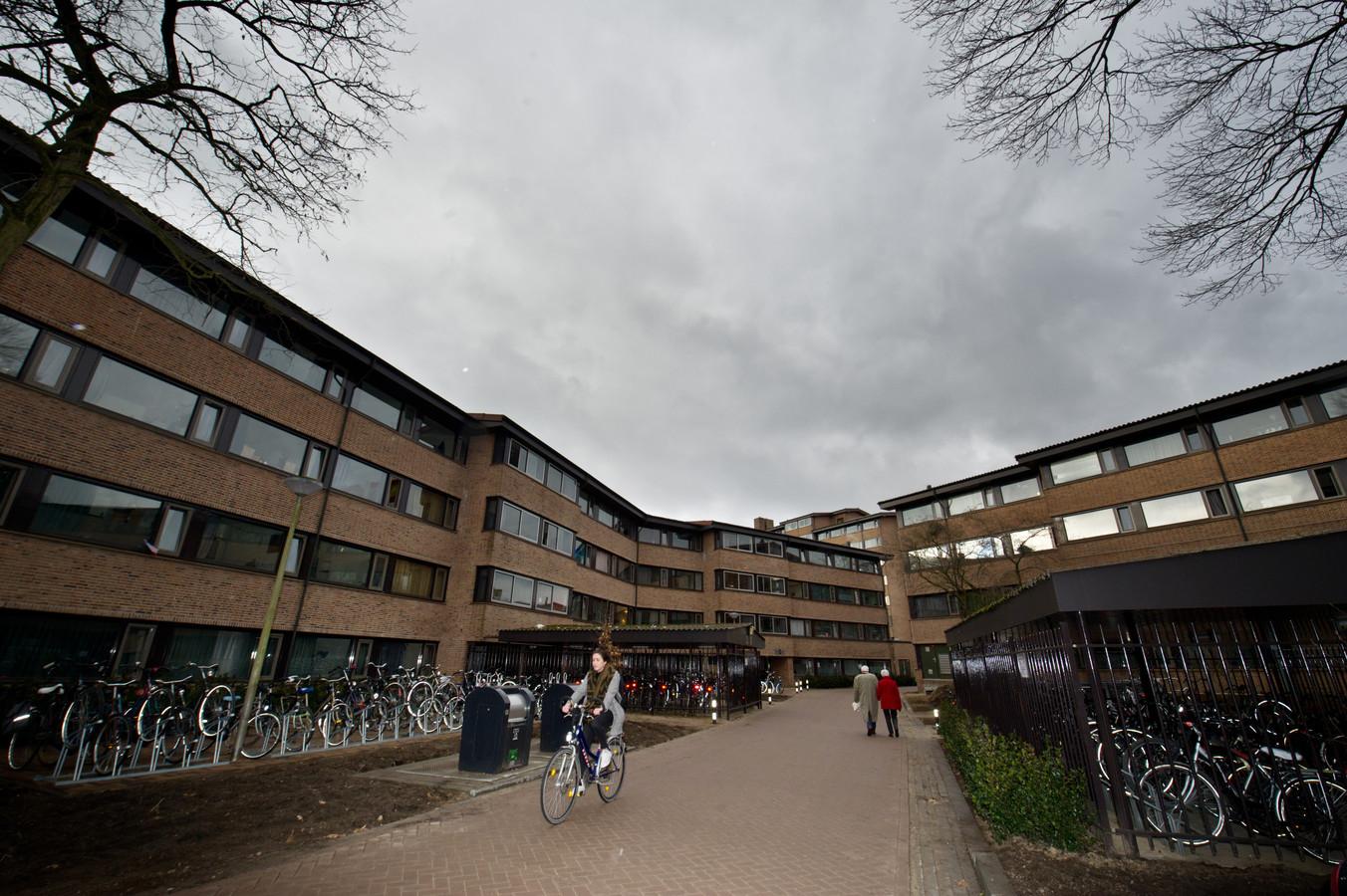 Afbeeldingsresultaat voor bromstraat studenten