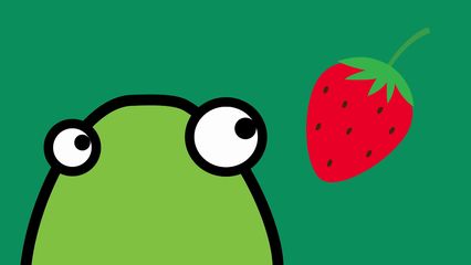 4. Een Echt Kamerorkest