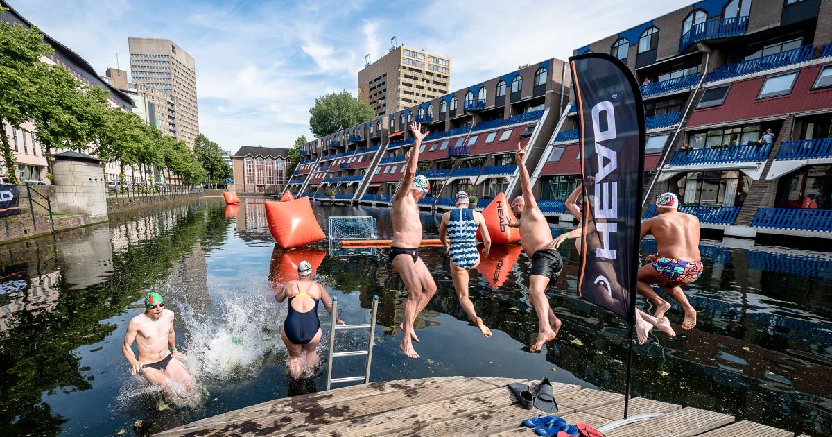 Bommetje In Het Haagseveer Het Water Is Nu Schoon Genoeg Rotterdam Ad Nl