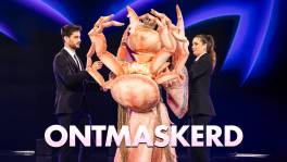 Ontmaskerd: King Krab, wie ben jij echt?