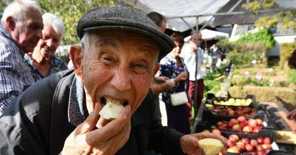 Boeren gaan samen streekproduct verkopen | West - De Gelderlander